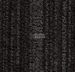 Грязезащитные покрытия Forbo Coral Brush 5741 cannon grey фото 1 | FLOORDEALER